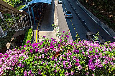 《刺客信条：幻景》发行时支持DLSS 2和FSR 2.0